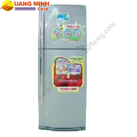 Tủ lạnh Toshiba RG41FVPDGB - 331lít - mặt gương xanh
